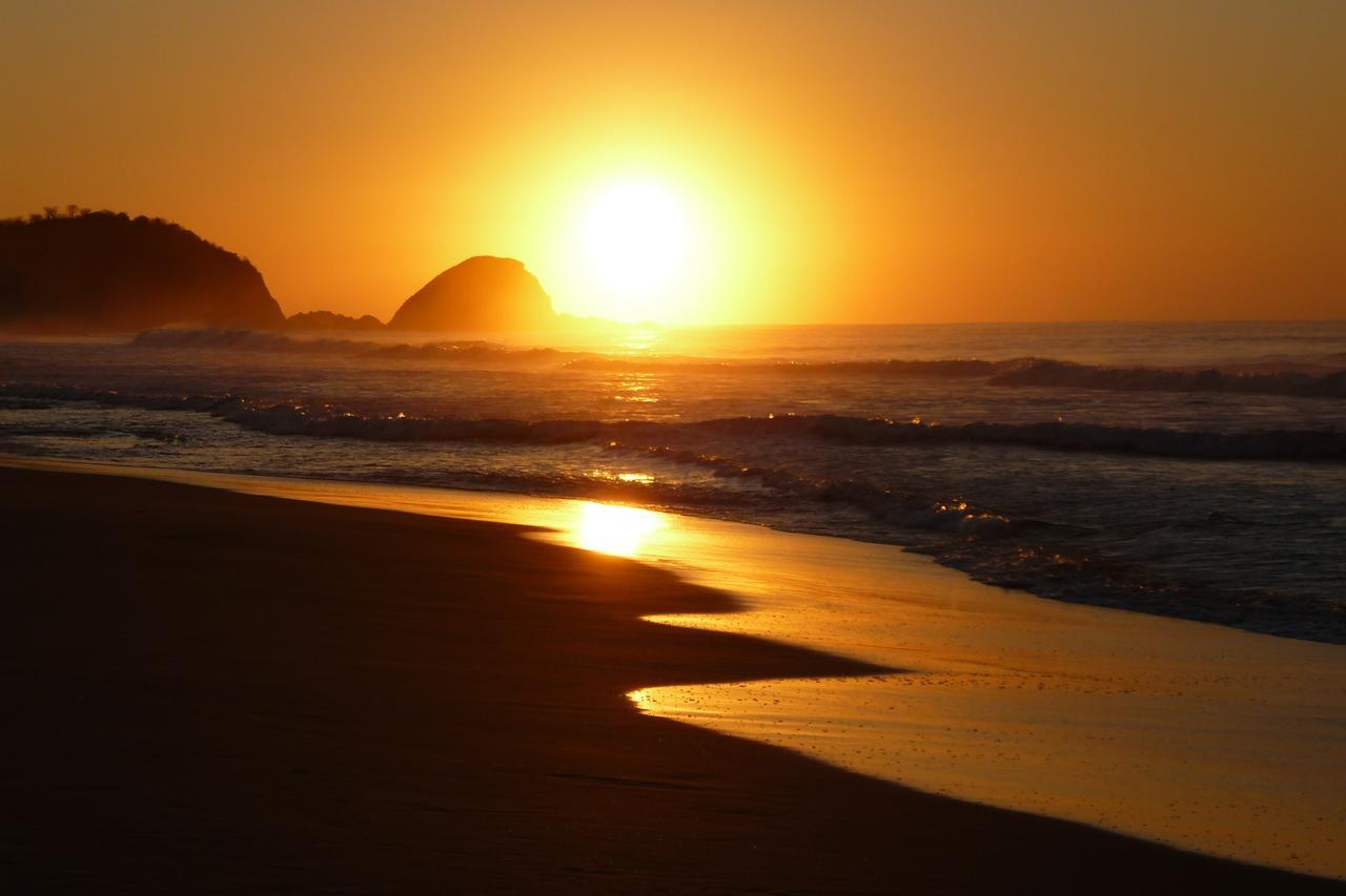 Posada Brisa Marina Pansiyon Zipolite Dış mekan fotoğraf