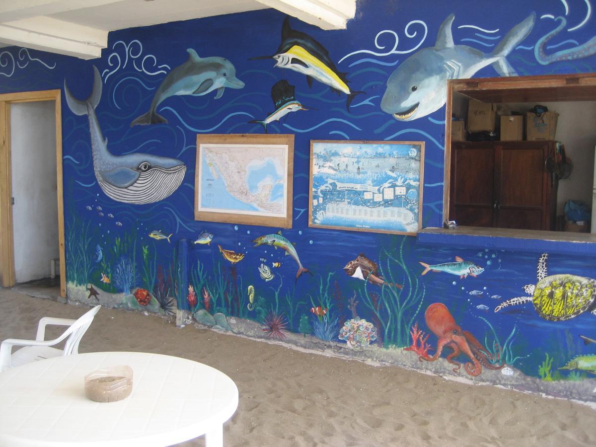 Posada Brisa Marina Pansiyon Zipolite Dış mekan fotoğraf